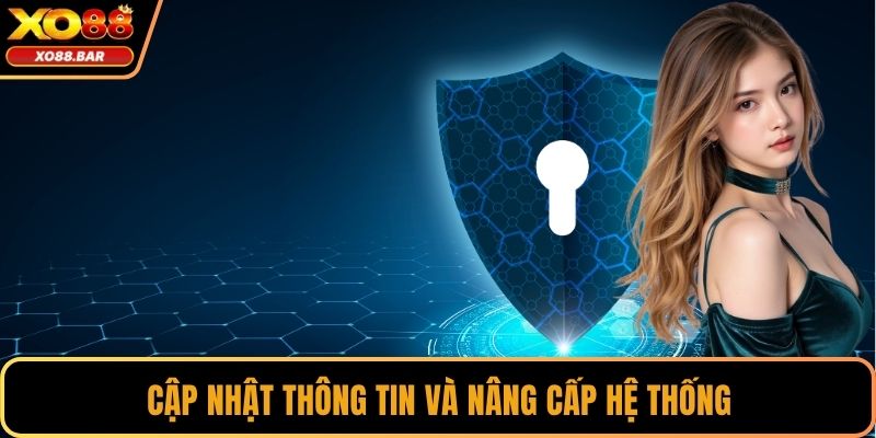 Cập nhật thông tin và nâng cấp hệ thống