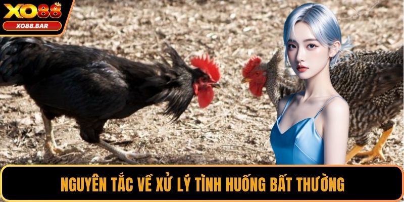Nguyên tắc về xử lý tình huống bất thường