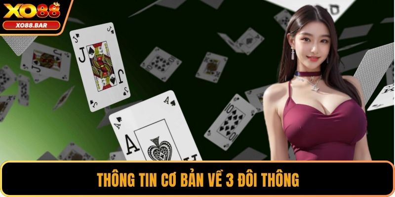 Thông tin cơ bản về 3 đôi thông